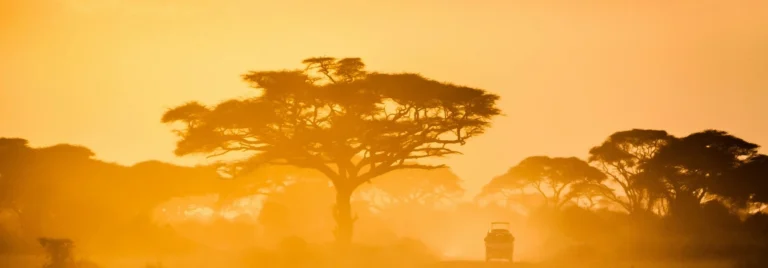 Updated Safari Image